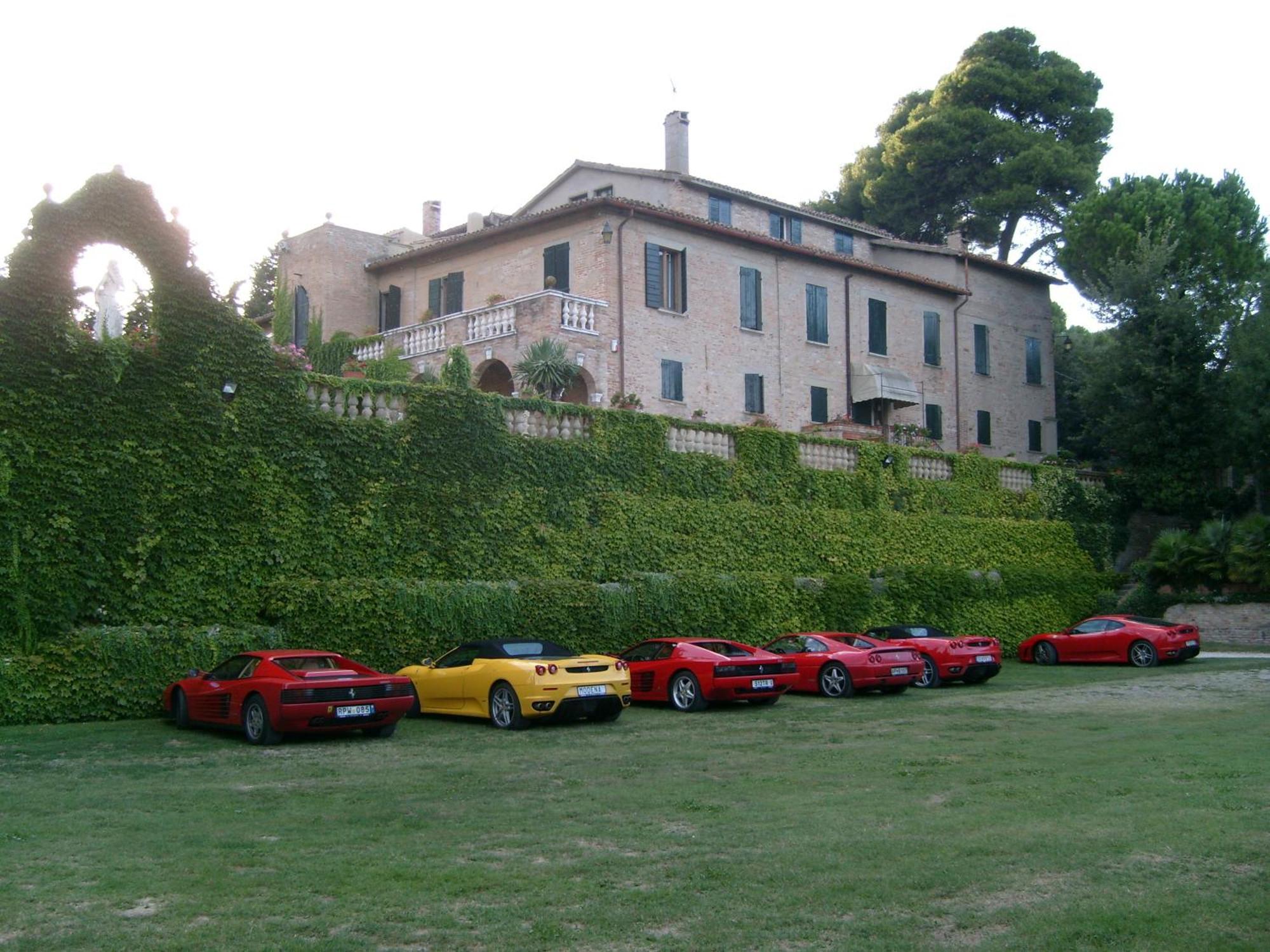 Cattani Stuart